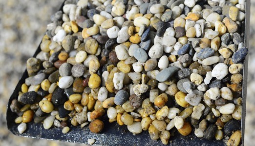 Coastal Pebbles       