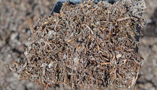 Mushroom Compost Mulch